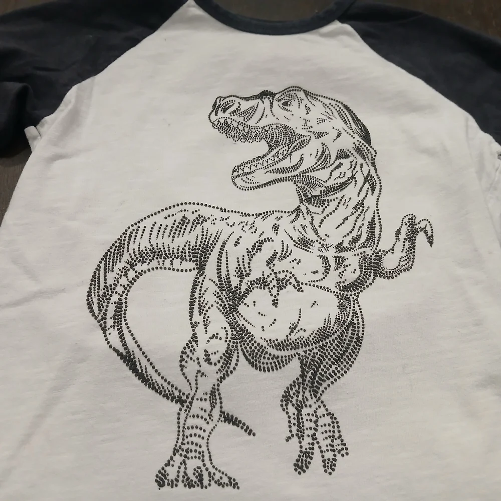 Zara Dinosaur Embelished Jersey Long Sleeved Top 100% Cotton Size:4-5